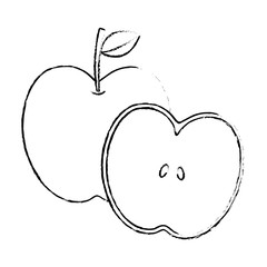 apple and half fruit natural food fresh vector illustration