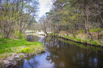 Fototapeta na wymiar Small Piasnica River in Debki village on the Baltic Sea coast, Poland