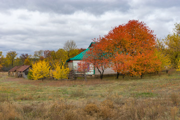 Obraz premium Typical autumnal landscape with small farmstead in Dem'yanivka village, Poltavskaya oblast, Ukraine