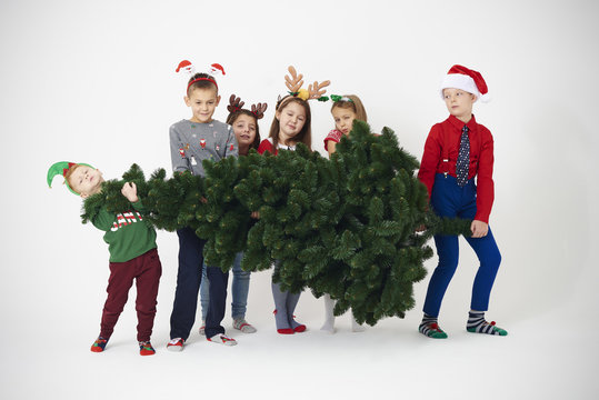 Group of children try to lift christmas tree