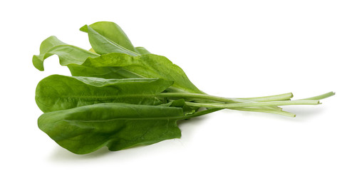 Fototapeta premium Bunch of sorrel