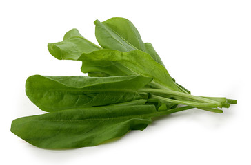 Bunch of sorrel