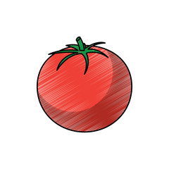 tomato vegetable fresh health raw tasty vector illustration