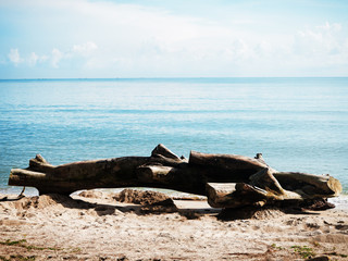 Fototapeta na wymiar The log on the beach ,seaside view,blue sky,blue sea,in morning time,feel relax,beauty by nature