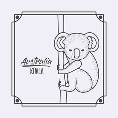 australia koala in frame and monochrome silhouette vector illustration