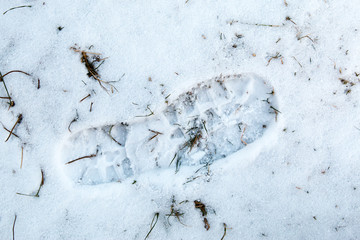 Bootprint snow