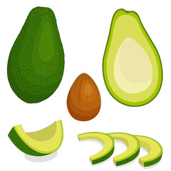 An avocado vector. Whole half and sliced fruit of avocado. Detailed Illustration in cartoon style.