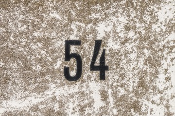 Die Nummer 54, vierundfünfzig, auf einem mit Flechten bewachsenen Untergrund