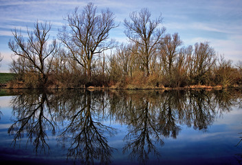 Obraz premium Reflection