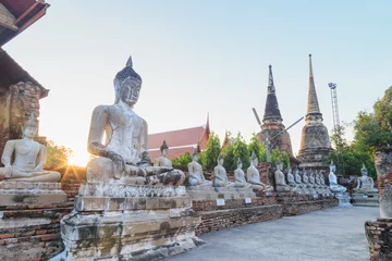 Foto op Plexiglas Aligned Sitting Buddha Statues with ancient ruin of temple at wat yai chaimongkol © tisomboon