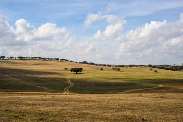 Obraz premium Portugal