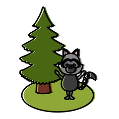 Raccoon with christmas tree icon vector illustration graphic design