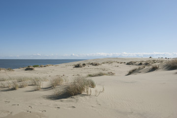 Fototapeta na wymiar Sands of the Curonian Spit