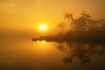 Fototapeta na wymiar Sunrise golden tree reflection on the lake