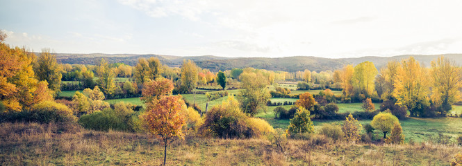 Panoramic composition of Landscape of parceled meadows  with vegetable fences and trees of autumn...