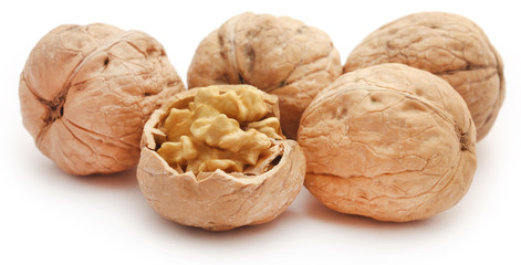 Walnut