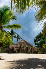 hut covered with palm leaves