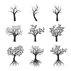 Set of Black Trees with Leaves and Roots. Vector Illustration.