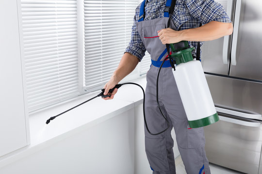 Worker Spraying Insecticide On Windowsill