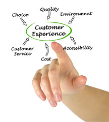 What Influence Customer Experience