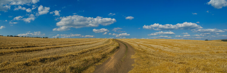 Fototapeta na wymiar Field after harvesting, dirt road, panorama, sky and clouds.