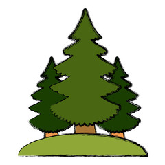 Trees pines isolated icon vector illustration graphic design