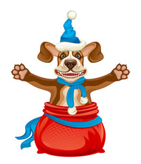 New year gift on a white background