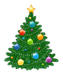 Fir tree on a white background