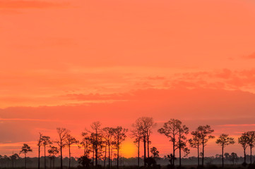 Fototapeta premium Sunrise in Punta Gorda Florida