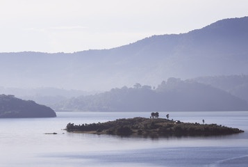  landscape with island in the middle of the sea with mountains in the background in the delicate mist of the dawn