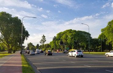 Spring flowering jacaranda in Buenos Aires, Argentina. Highway