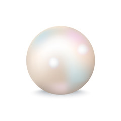 Closeup of White Pearl on Vector Illustration