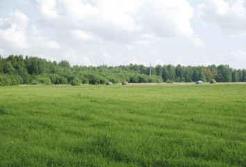 Background image of lush grass field under blue sky