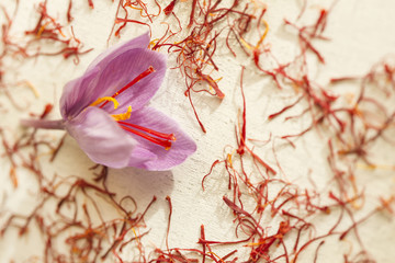one saffron flower and a lot of drying saffron types