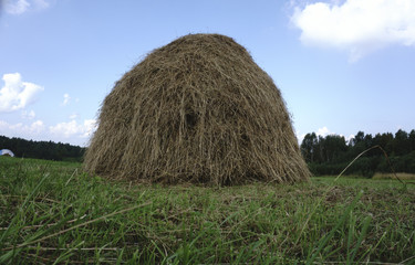 Hay bales in a field at