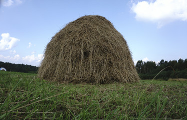 Hay bales in a field at