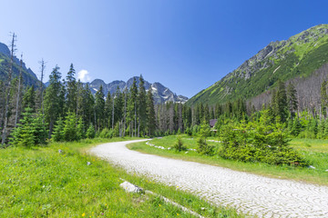 Fototapeta premium Tatra National Park in Poland