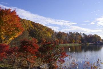 Autumn color, Nagano, Japan