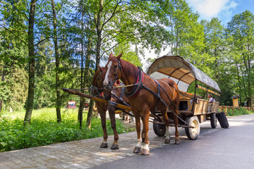 Fototapeta na wymiar Horse carts in Tatra National Park, Poland