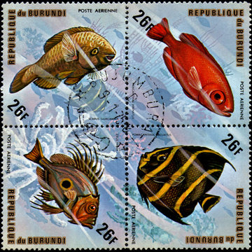 BURUNDI - CIRCA 1974: stamps, printed in Burundi, shows a fish: Priacanthus arenatus, Pomacanthus arcuatus, Scarus guacamaia, Zeus faber