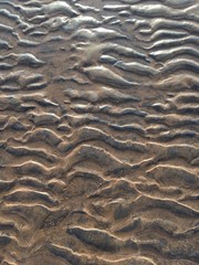 patterns of sands 