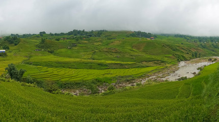 Fototapeta na wymiar Awesome summer nature landscape background with rice terraces