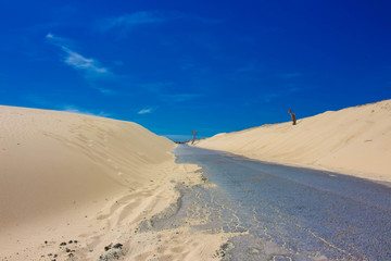 Road. White ocean sand, dunes. Punta Paloma beach, Tarifa, Spain.