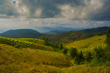 Beautiful nature of the Pongpeng forest, Chiangmai, Thailad.