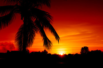 Obraz na płótnie Canvas Beautiful orange sky at sunset over the lake with the Silhouette of Palm Trees in the Foreground.