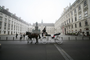 Fototapeta na wymiar Horse and Carriage travel passed statue and historic building in Vienna