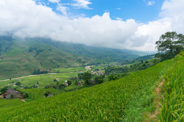 Hiking path among rice terraces with view of mountain valley
