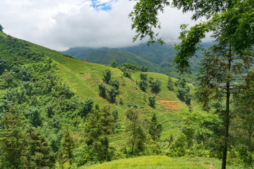 Fototapeta na wymiar Summer landscape of spectacular rice terraces on hill