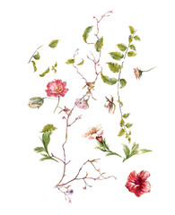 watercolor painting of leaves and flower, on white background