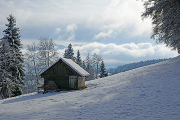 Winter, Längenberg, Alpen, Schweiz 